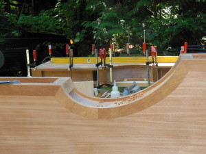 Library Display Columns in process